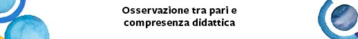 OSSERVAZIONE TRA PARI E COMPRESENZA DIDATTICA