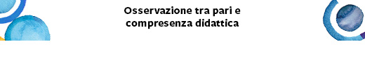 OSSERVAZIONE TRA PARI E COMPRESENZA DIDATTICA